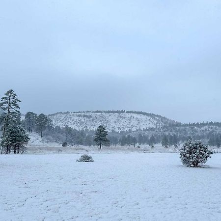 Family Home In Flagstaff With Surrounding Mtn Views! Екстериор снимка
