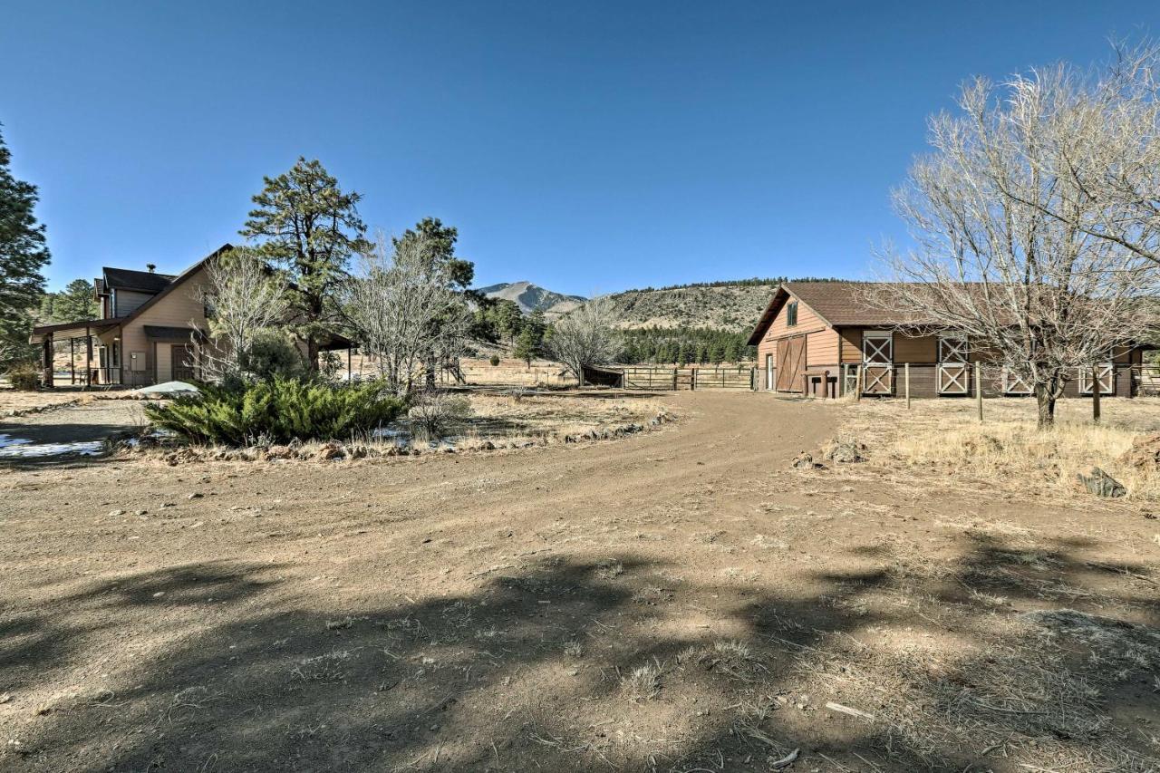 Family Home In Flagstaff With Surrounding Mtn Views! Екстериор снимка